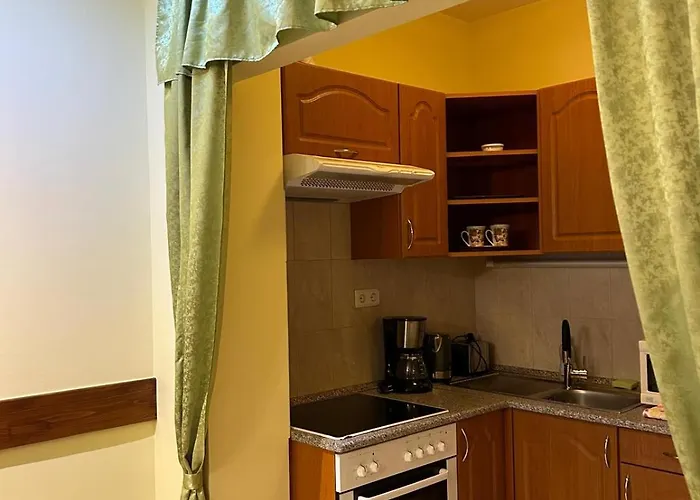 Rehab Vip Apartament Héviz