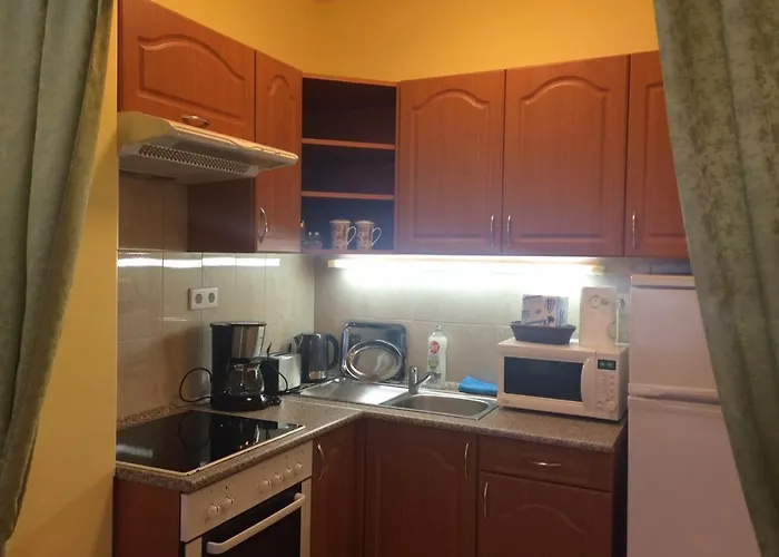 Rehab Vip Apartament *